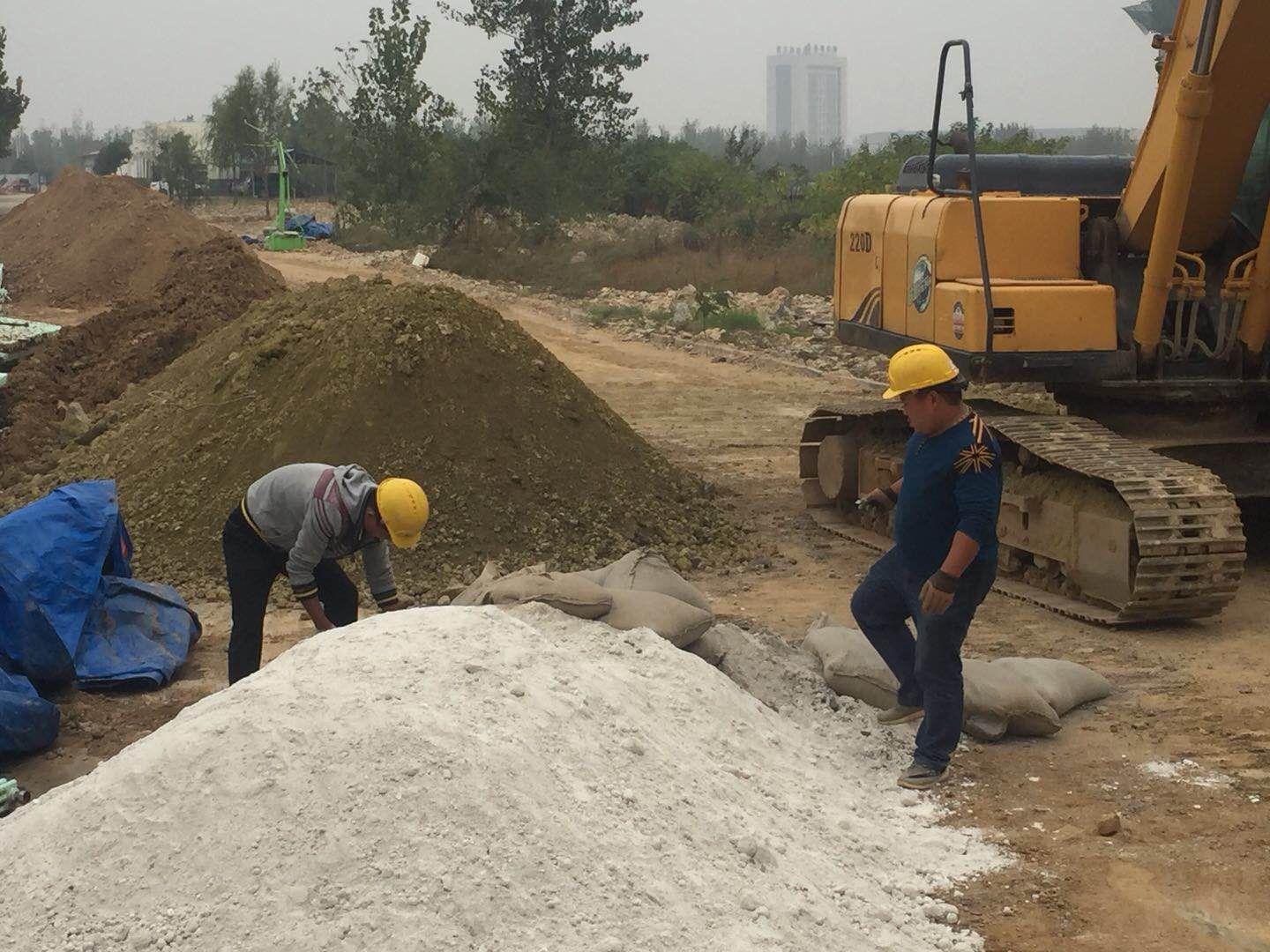 重金属污染土壤修复技术